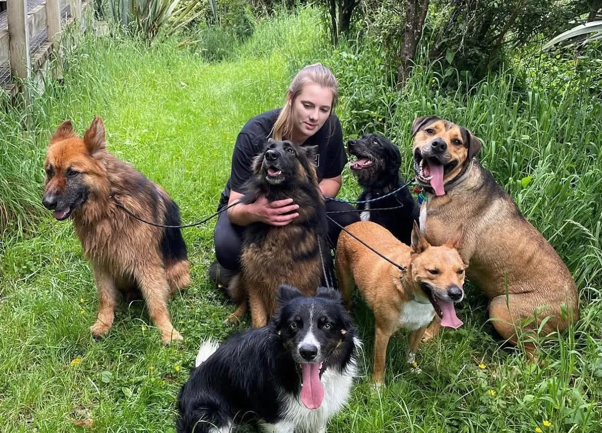 Hayley crouched on the grass surrounded by six of her pack